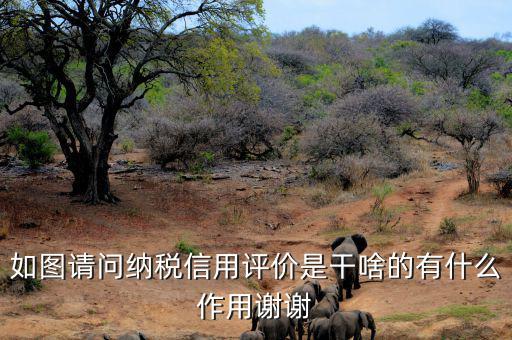 申請(qǐng)納稅信用復(fù)評(píng)需要什么資料，納稅信用評(píng)價(jià)的基本規(guī)范要求包括什么