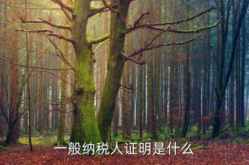 什么可以證明是一般納稅人，什么叫一般納稅人我如何辨別自己公司是否是一般納稅人