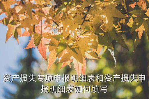 什么是專項資產(chǎn)損失申報表，所得稅申報表怎么填22資產(chǎn)損失