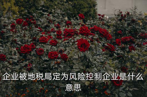 稅收風險控制是什么，稅務風險管理的稅務風險管理制度