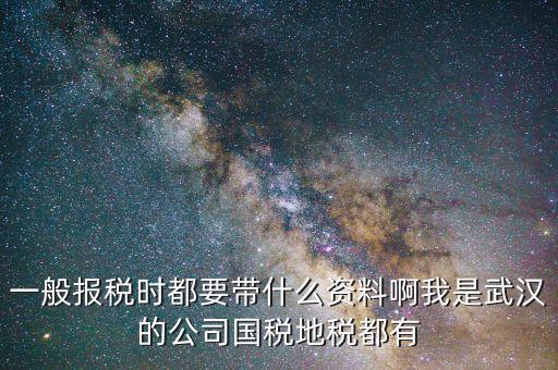 武漢國稅年報是什么，武漢市地稅國稅報稅截至日期分別是什么時候