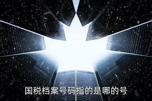 國稅號碼是什么，什么是國稅檔案號