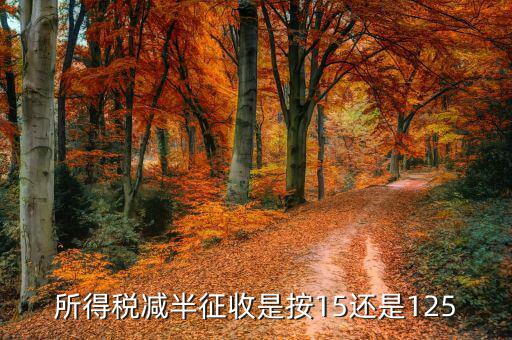 企業(yè)所得稅減半征稅是什么減半，技術(shù)轉(zhuǎn)讓收入減半征收企業(yè)所得稅 減的是收入還是稅率