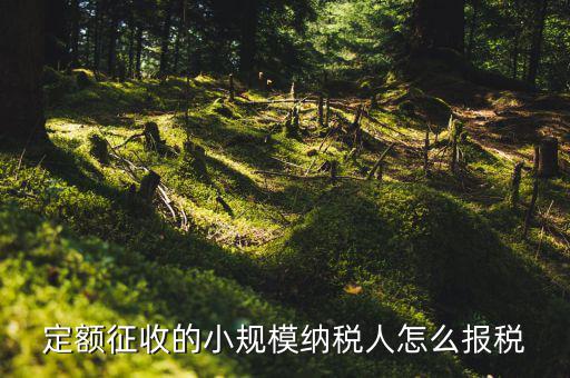 小規(guī)模納稅人 什么定額申報(bào)，定額征收的小規(guī)模納稅人怎么報(bào)稅