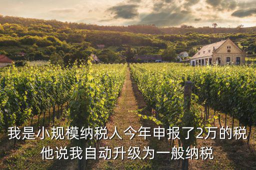 我是小規(guī)模納稅人今年申報(bào)了2萬的稅他說我自動升級為一般納稅