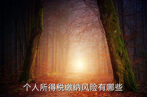 所得稅申報(bào)時(shí)有什么風(fēng)險(xiǎn)提示，個(gè)人所得稅繳納風(fēng)險(xiǎn)有哪些