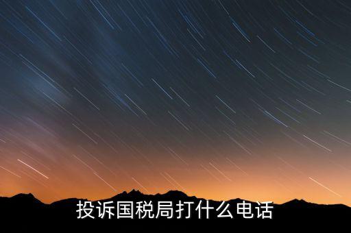 投訴國稅局 打什么電話，稅務局什么舉報電話呀居然沒人接太可惡了