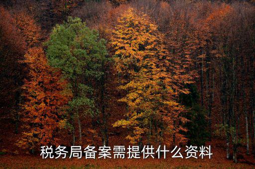 稅務(wù)局備案需提供什么資料，稅務(wù)局備案需提供什么資料