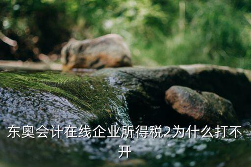 東奧會計(jì)在線企業(yè)所得稅2為什么打不開