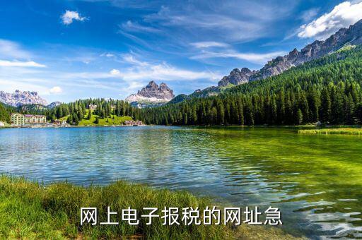 網(wǎng)上電子報稅的網(wǎng)址急