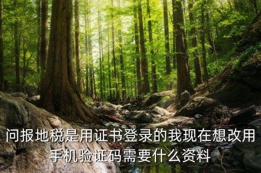 湖南地稅什么叫證書登陸，地稅數(shù)字證書是什么