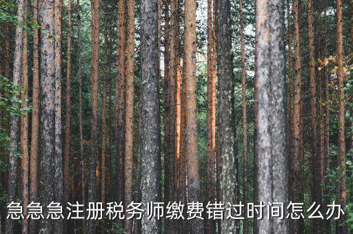 廣東省稅務(wù)師會費什么時候交，廣州2013年的匯算清繳報告什么時候交