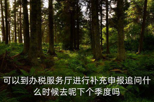 據(jù)實申報是按照什么申報，可以到辦稅服務(wù)廳進(jìn)行補充申報追問什么時候去呢下個季度嗎