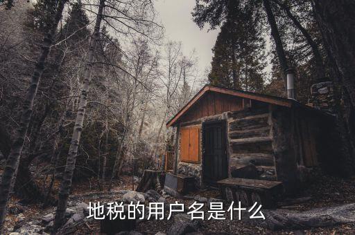 河北地稅申報用戶名是什么，地稅的用戶名是什么