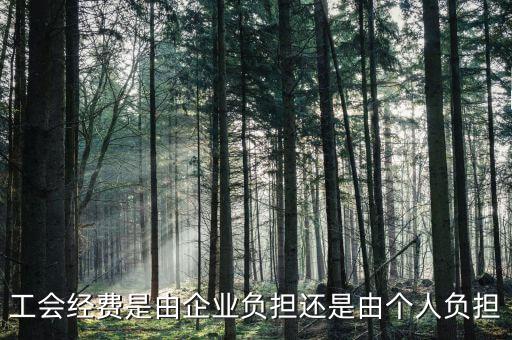 工會經費是由企業(yè)負擔還是由個人負擔