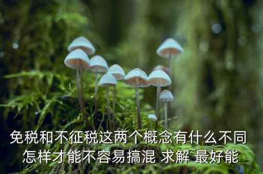 什么是免征消費(fèi)稅，哪些屬于免征增值稅