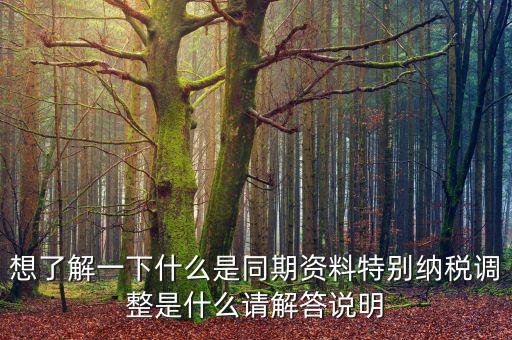 關(guān)聯(lián)申報同期資料是什么，想了解一下什么是同期資料特別納稅調(diào)整是什么請解答說明