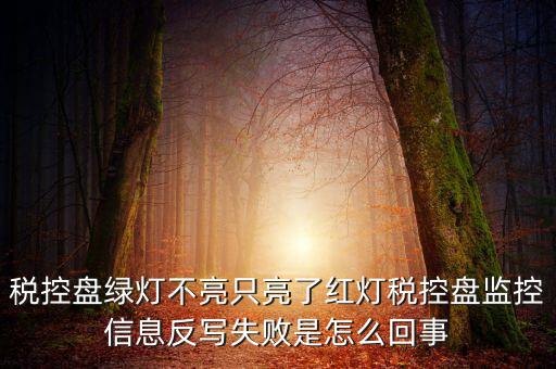 稅控盤(pán)綠燈不亮只亮了紅燈稅控盤(pán)監(jiān)控信息反寫(xiě)失敗是怎么回事