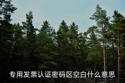 河南發(fā)票密碼是什么意思，專用發(fā)票認(rèn)證密碼區(qū)空白什么意思