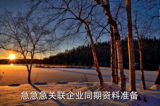 急急急關聯(lián)企業(yè)同期資料準備