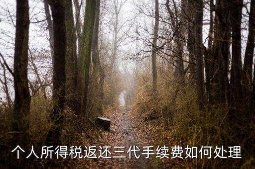 地稅局的退付三代手續(xù)費(fèi)是什么意思，三代手續(xù)費(fèi)返還該計(jì)入什么科目