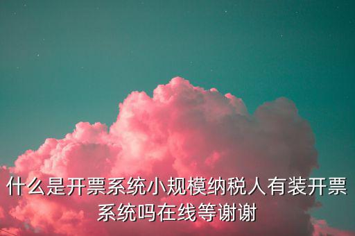 什么是開(kāi)票系統(tǒng)小規(guī)模納稅人有裝開(kāi)票系統(tǒng)嗎在線等謝謝