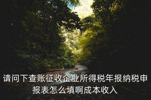 企業(yè)所得稅申報查賬是什么表，剛注冊了一個小規(guī)模的公司企業(yè)所得稅是查帳征收企業(yè)所得稅報表