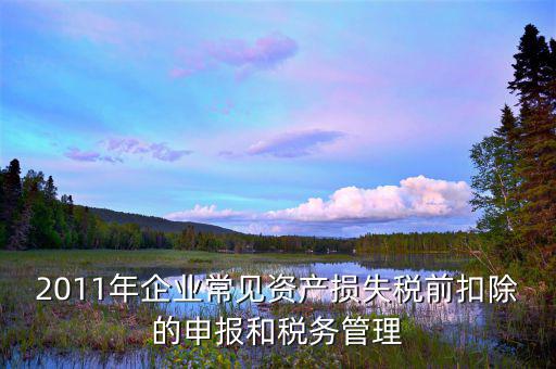 什么是資產(chǎn)損失屬于清單申報，資產(chǎn)損失稅前扣除什么是清單申報專項申報