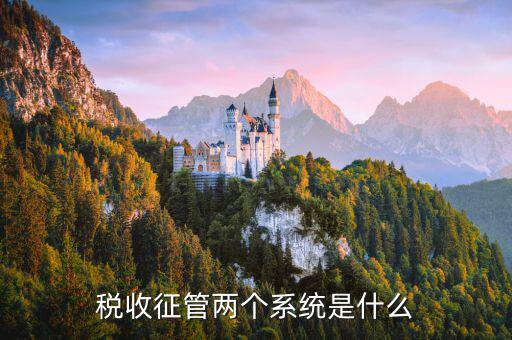 稅務(wù)什么叫核心征管系統(tǒng)，稅收征管兩個系統(tǒng)是什么