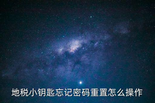 地稅密碼重置需要什么，地稅網(wǎng)上納稅申報密碼忘記了