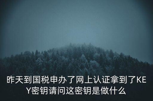 稅務(wù)認(rèn)證密碼是什么，昨天到國(guó)稅申辦了網(wǎng)上認(rèn)證拿到了KEY密鑰請(qǐng)問(wèn)這密鑰是做什么