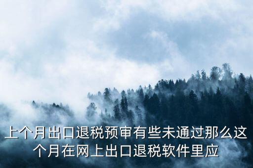 上個月出口退稅預審有些未通過那么這個月在網上出口退稅軟件里應