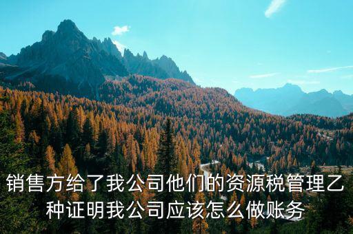 什么叫資源稅甲乙種證明，銷售方給了我公司他們的資源稅管理乙種證明我公司應(yīng)該怎么做賬務(wù)