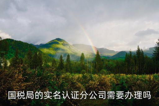 四川國稅局實名認證需要什么手續(xù)，在國稅局辦理法人實名制認證要帶什么材料