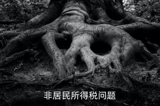 有什么是非居民企業(yè)，個私企業(yè)的范圍除了個體戶還包括哪些性質(zhì)的企業(yè)