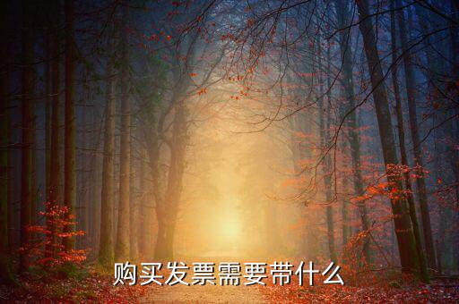長春購置發(fā)票需要什么資料，初次購買發(fā)票要什么資料