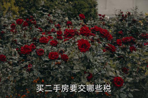 買(mǎi)二手公建房交什么稅，買(mǎi)二手房要交哪些稅