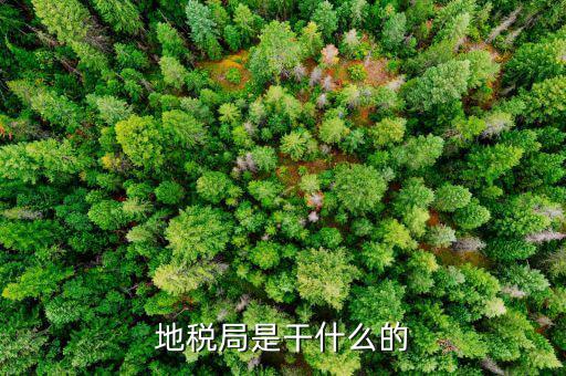 地稅主要負(fù)責(zé)什么工作總結(jié)，地稅局一般做什么工作啊