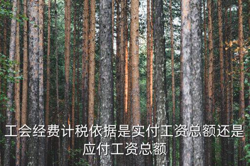 工會(huì)經(jīng)費(fèi)申報(bào)計(jì)稅依據(jù)是什么，綜合納稅申報(bào)表上工費(fèi)經(jīng)費(fèi)的計(jì)稅依據(jù)等等都怎么填