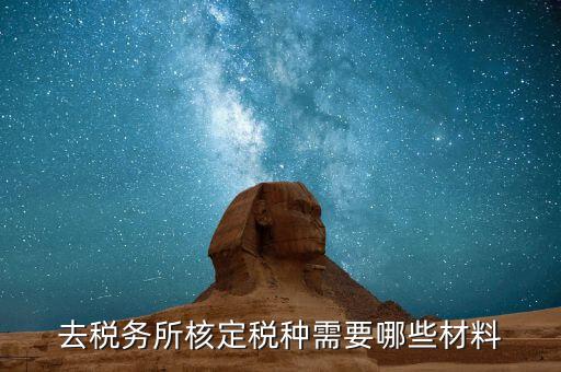 國稅票種核定需要什么，哪些情況下要進行國稅票種核定