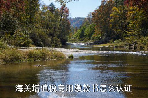 海關(guān)增值稅專(zhuān)用繳款書(shū)怎么認(rèn)證