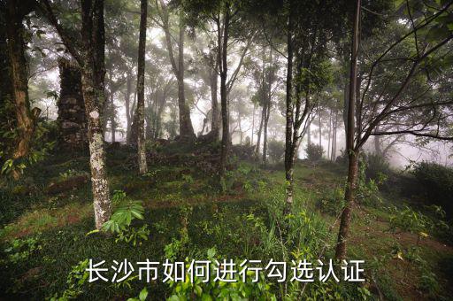 如何進行網(wǎng)上勾選，對方開出增值稅專用發(fā)票多長時間可以進行網(wǎng)上勾選認證