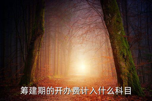 公司籌建期的費(fèi)用計(jì)入什么科目，籌建期的開辦費(fèi)計(jì)入什么科目