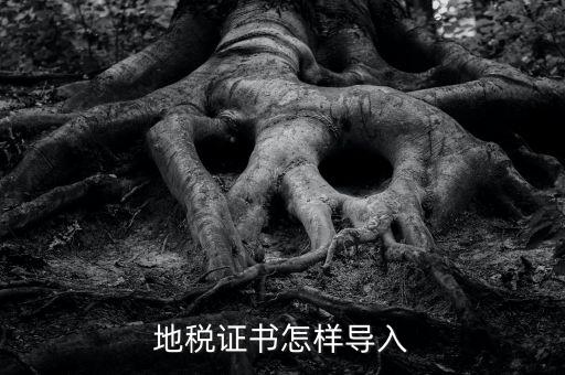 如何導入地稅證書，地稅證書怎樣導入