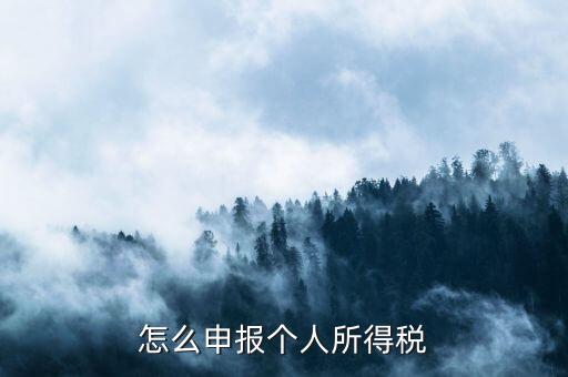 如何申報個人所得稅，怎么申報個人所得稅