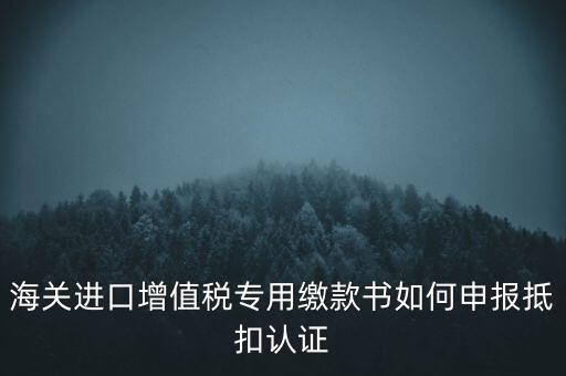 海關(guān)進(jìn)口增值稅專用繳款書如何申報(bào)抵扣認(rèn)證