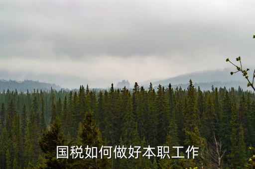 如何做好基層國稅工作，如何做好新形勢下的國稅工作