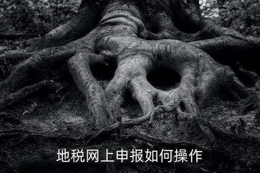 地稅網(wǎng)如何申報，地稅網(wǎng)上申報如何操作