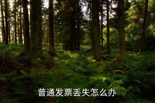 普票發(fā)票聯(lián)丟失如何入賬，企業(yè)開具的增值稅普通發(fā)票記賬聯(lián)丟失怎么處理