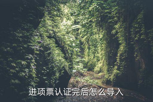 抵扣票如何認(rèn)證系統(tǒng)下載，增值稅發(fā)票怎樣自己認(rèn)證需要下載什么軟件什么步驟呢